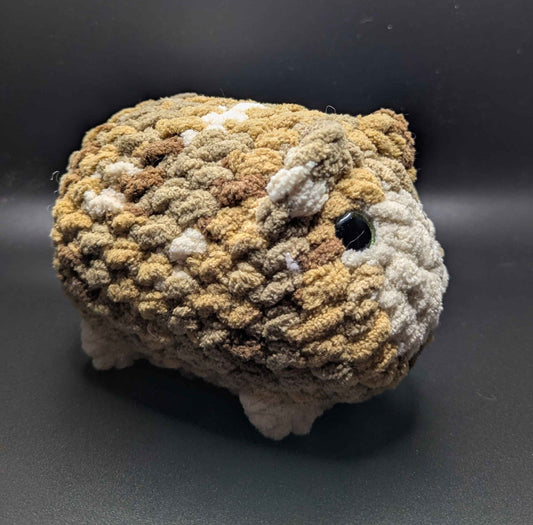 Hamingway the Hampter