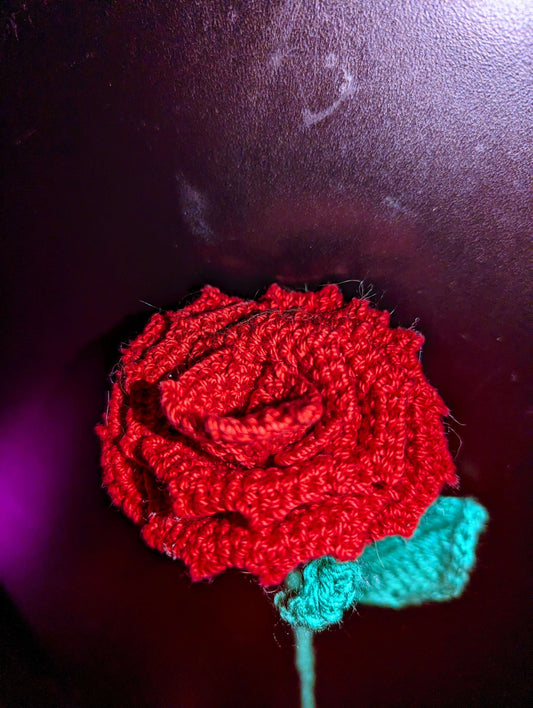 Long Stem Rose